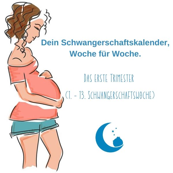 Schwangere Frau im ersten Trimester Illustration